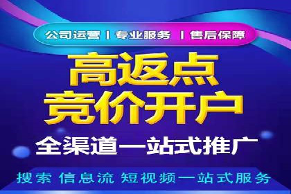 揭秘百度竞价排名：实战案例解析